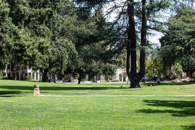 596 Franklin Street, Mountain View CA: https://media.crmls.org/mediaz/3ae5ad56-cd22-4701-91be-f6287c4bfa17.jpg