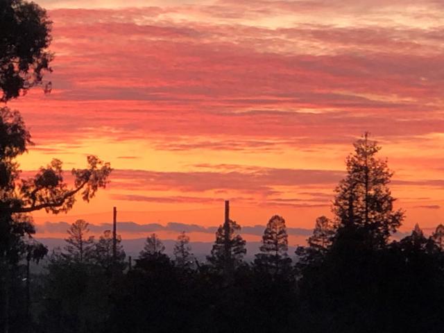 7742 Kilmarnok Drive, San Jose CA: https://media.crmls.org/mediaz/3af5dfd4-c402-4f34-bfef-e2b1b72b9889.jpg