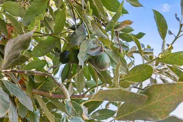Detail Gallery Image 36 of 53 For 3601 Schooner Walk, Oxnard,  CA 93035 - 3 Beds | 2 Baths