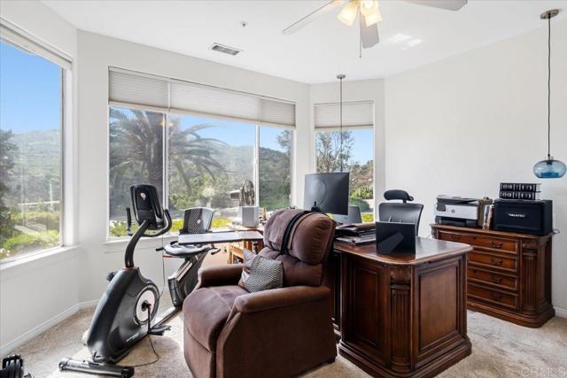 Detail Gallery Image 44 of 66 For 19270 Horizon View Dr., Ramona,  CA 92065 - 4 Beds | 4/2 Baths