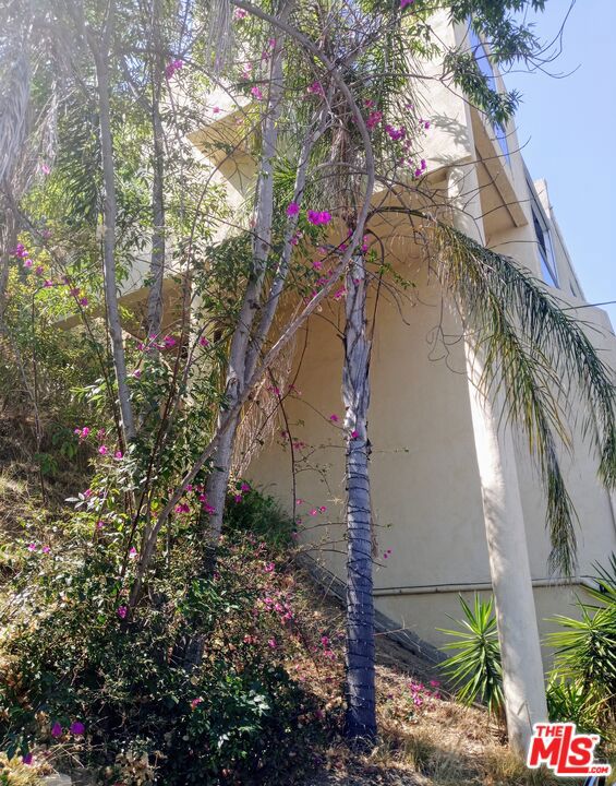 8613 Franklin Avenue, Los Angeles CA: https://media.crmls.org/mediaz/3afecb53-92ef-48d0-8f64-8bb068d1f378.jpg