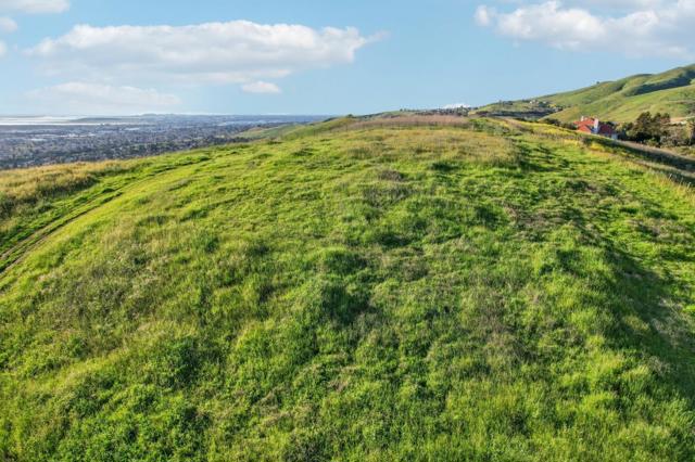 1339 Terra Vista Court, Milpitas CA: https://media.crmls.org/mediaz/3b03894d-cdf4-4882-93d0-1a89d12c1ebf.jpg