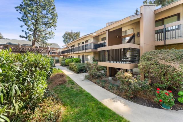 185 Union Avenue, Campbell CA: https://media.crmls.org/mediaz/3b03ea19-0725-4f01-8974-785dc9b988b0.jpg