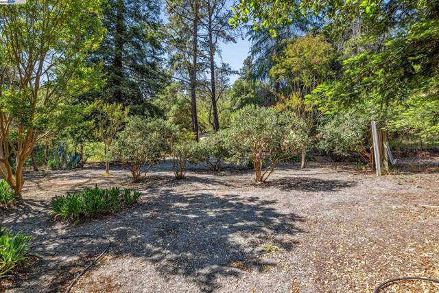 3296 Walnut Ln, Lafayette CA: https://media.crmls.org/mediaz/3b06e562-f3f0-462d-9827-d6709d8fd675.jpg