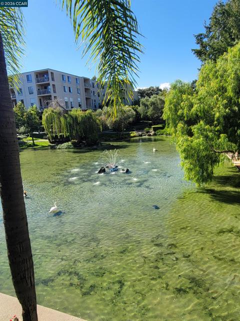 310 N Civic Dr., Walnut Creek CA: https://media.crmls.org/mediaz/3b0f260a-e675-462e-b180-c565c9c91838.jpg