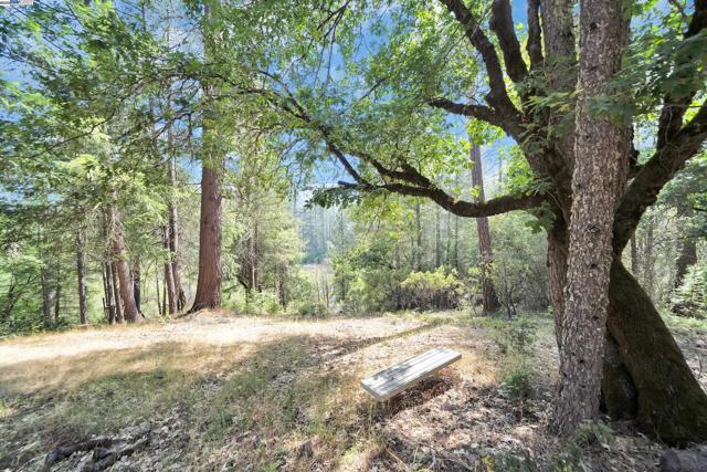 13567 Raccoon Mountain Rd, Grass Valley CA: https://media.crmls.org/mediaz/3b287a16-1a02-46b8-a1fd-72eab216bad2.jpg