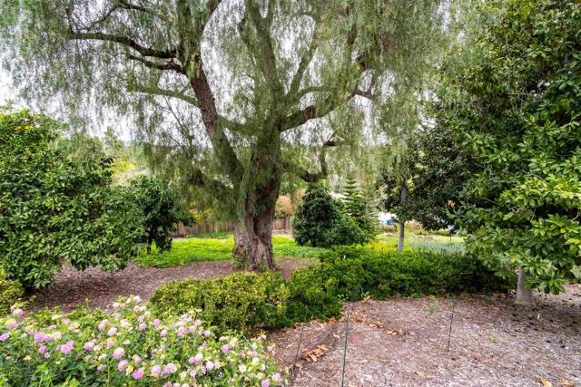 Detail Gallery Image 42 of 53 For 436 Montana Luna Ct, Escondido,  CA 92025 - 4 Beds | 2/1 Baths