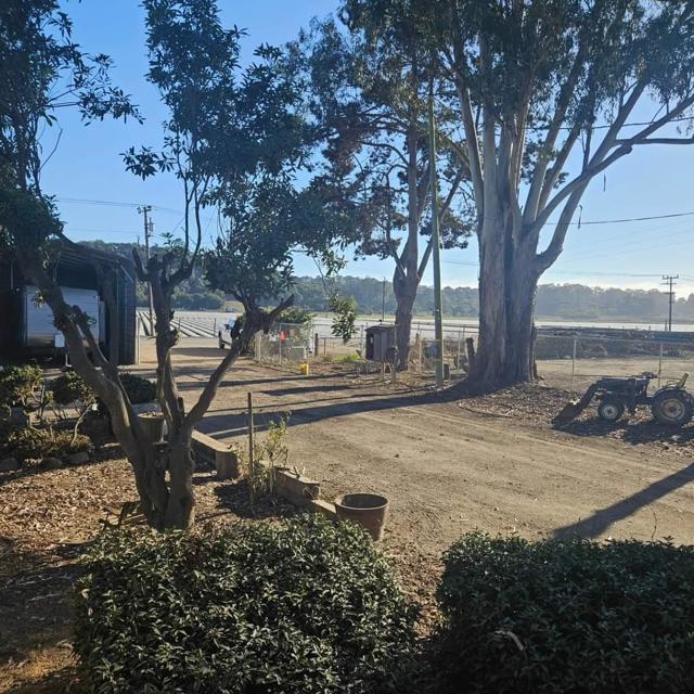 120 Trafton Road, Royal Oaks CA: https://media.crmls.org/mediaz/3b2e9ae8-ca55-4d8b-acbf-a7d053a93cfd.jpg