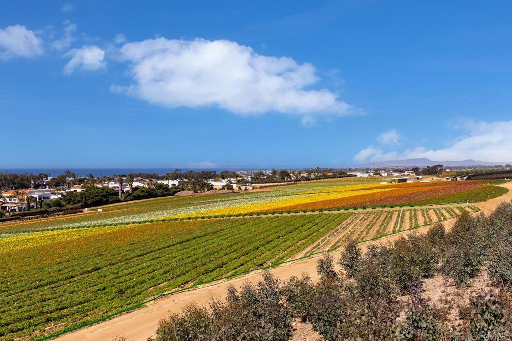 2528 Delphinium Lane - photo 11