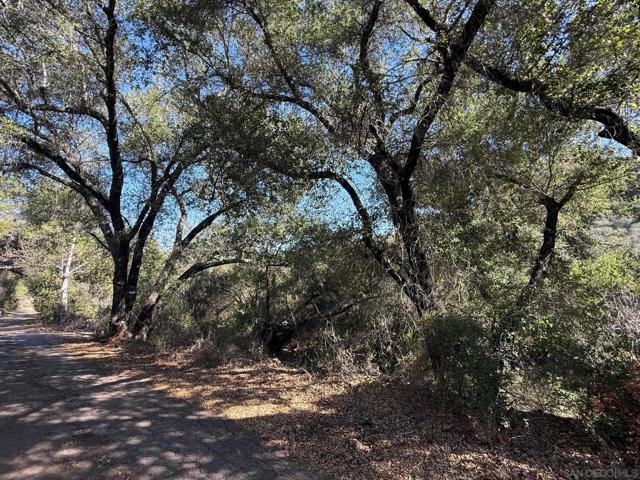 0 Wildcat Canyon Road, Lakeside CA: https://media.crmls.org/mediaz/3b522e68-7933-4460-be55-10f61e3ddd59.jpg