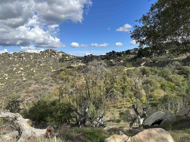 Detail Gallery Image 52 of 63 For 2494 Donnil Lane, Fallbrook,  CA 92028 - 3 Beds | 2 Baths