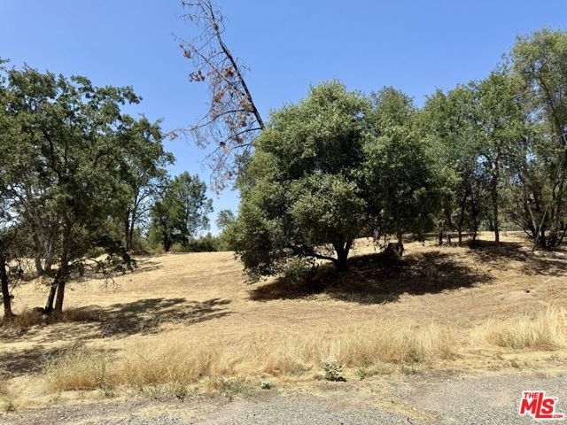 31199 Rolling Meadow Court, Coarsegold CA: https://media.crmls.org/mediaz/3b5b3be9-563a-4d2d-8864-6069c0e1bca8.jpg