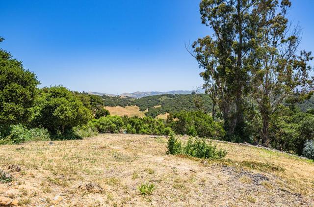 8734 Eagles Roost Road, Salinas CA: https://media.crmls.org/mediaz/3b5c6f49-70bc-4511-b5ab-42b1b2760bb8.jpg