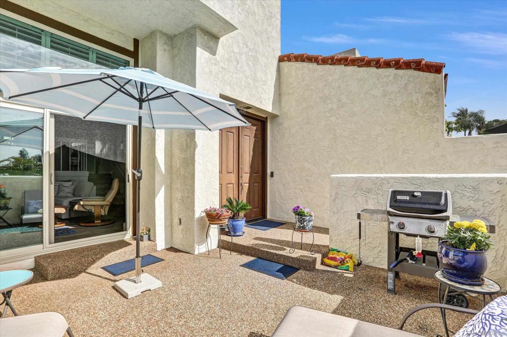 7440 Caminito Carlotta - photo 10