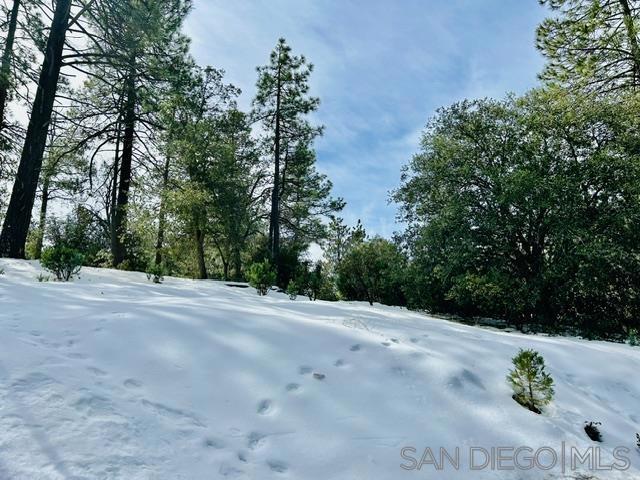 8 Saunders Meadow Rd, Idyllwild, CA 92549