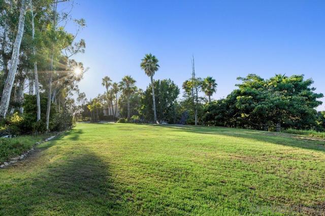 3247 Cerros Redondos, Rancho Santa Fe CA: https://media.crmls.org/mediaz/3b7d8faf-2a05-4735-b0fb-24920eb64cdb.jpg