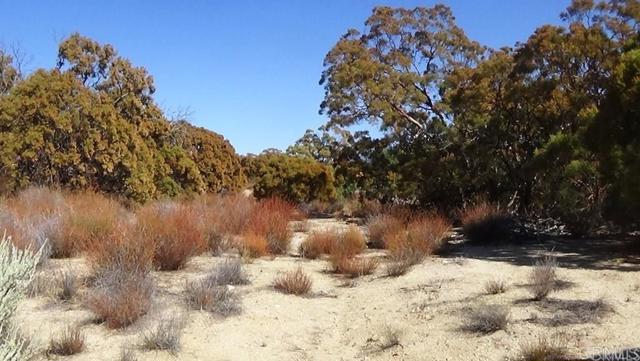 Detail Gallery Image 35 of 41 For 37245 Old Forest Rd, Anza,  CA 92539 - – Beds | – Baths