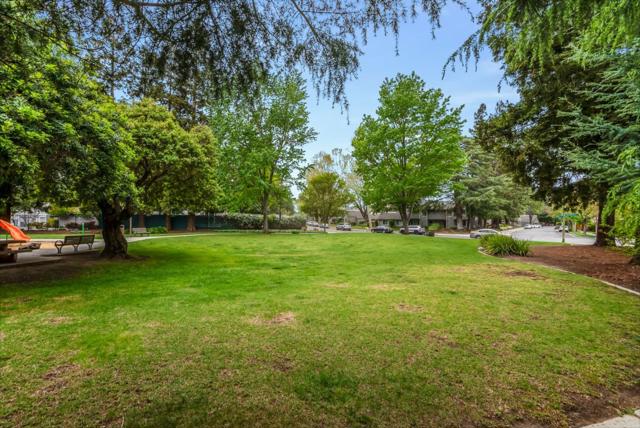 1076 Roy Avenue, San Jose CA: https://media.crmls.org/mediaz/3b8b41d1-ab0d-412e-b2ca-ce3822d0d52c.jpg