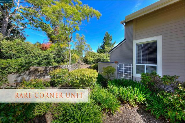 310 Boatswain Ct, Hercules CA: https://media.crmls.org/mediaz/3b8df94f-790a-47c4-a3ee-0488594a59ad.jpg