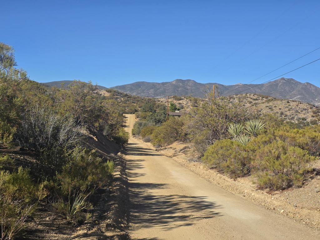 MLS #219138845DA image #12