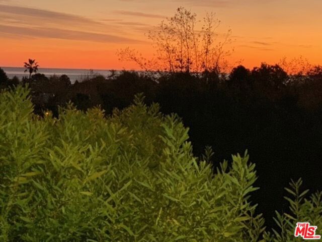 1039 Las Pulgas Road, Pacific Palisades CA: https://media.crmls.org/mediaz/3ba703d8-b181-4e74-a7ca-1250ddad2fb0.jpg