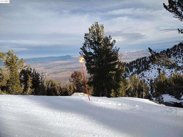 864 San Francisco Ave, South Lake Tahoe CA: https://media.crmls.org/mediaz/3bab5648-18cf-4e3f-9bf7-c692431669f6.jpg