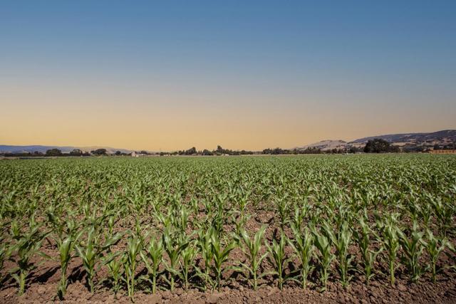 0 Crews Road, Gilroy CA: https://media.crmls.org/mediaz/3bbbce7f-225b-4278-8bfe-213a2f387deb.jpg