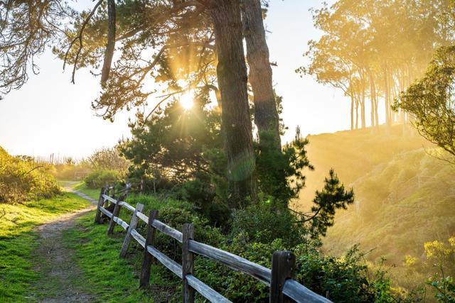 207 Driftwood Court, Aptos CA: https://media.crmls.org/mediaz/3bbd13d1-1134-487a-b260-313e54c48d0d.jpg