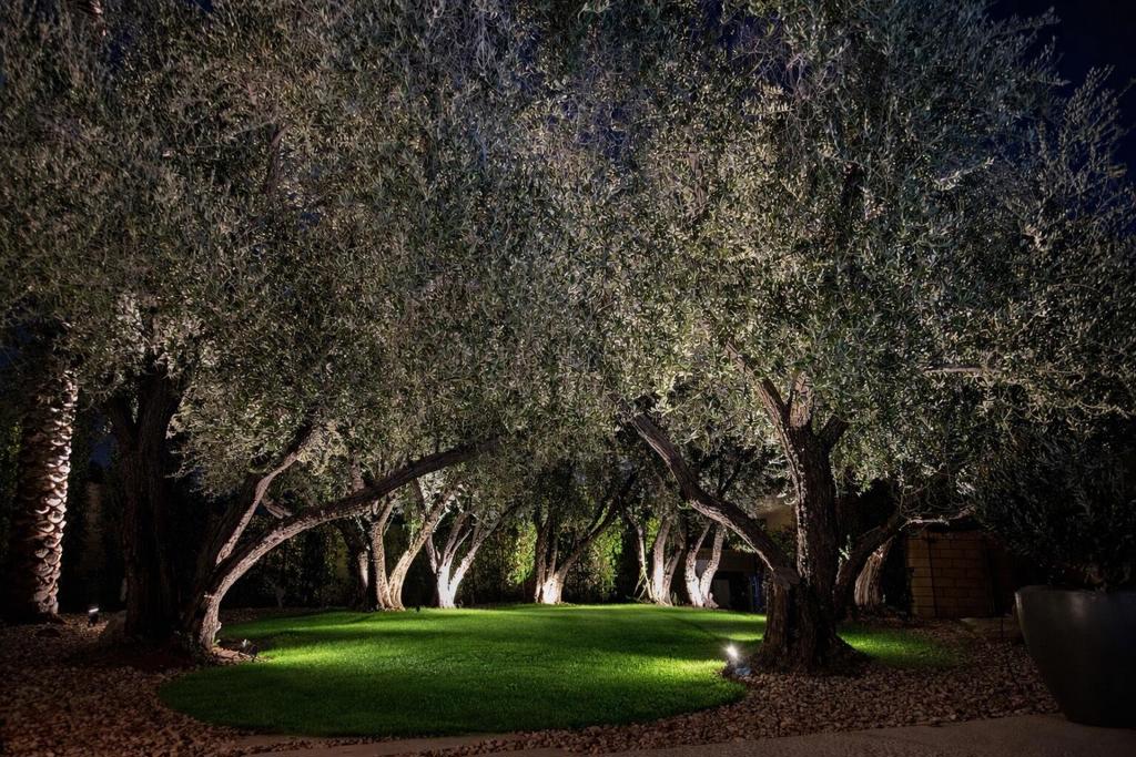 https://media.crmls.org/mediaz/3bc405cb-e93c-47b3-bee6-5b19774bc7b5.jpg?preset=X-Large