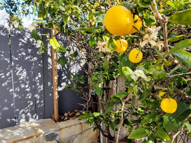 1714 Luxton Street, Seaside CA: https://media.crmls.org/mediaz/3bc57948-af81-47b8-bfec-4076c9261712.jpg