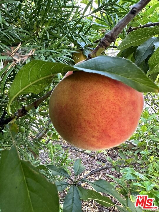 1625 18th Street, Manhattan Beach, California 90266, 4 Bedrooms Bedrooms, ,5 BathroomsBathrooms,Residential,For Sale,18th,26655945