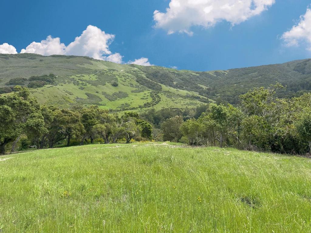 MLS #ML82008507 image #3