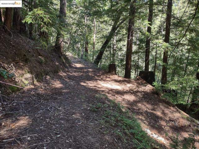 2950 Bear Canyon RD, Los Gatos CA: https://media.crmls.org/mediaz/3bcbe063-e43a-47d5-ace6-7d45f86c3e76.jpg