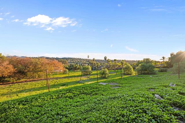 Detail Gallery Image 4 of 29 For 668 Plumosa Ave, Vista,  CA 92081 - – Beds | – Baths