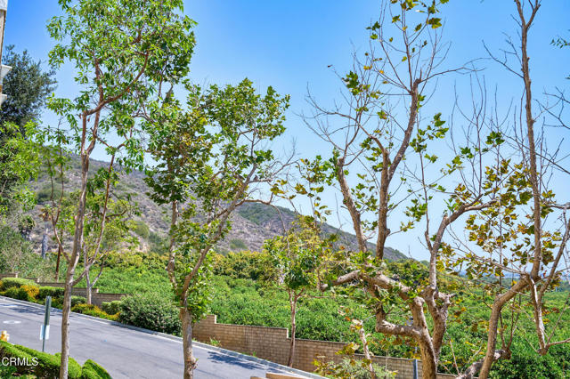 Detail Gallery Image 13 of 59 For 2713 Antonio Dr #110,  Camarillo,  CA 93010 - 2 Beds | 2 Baths