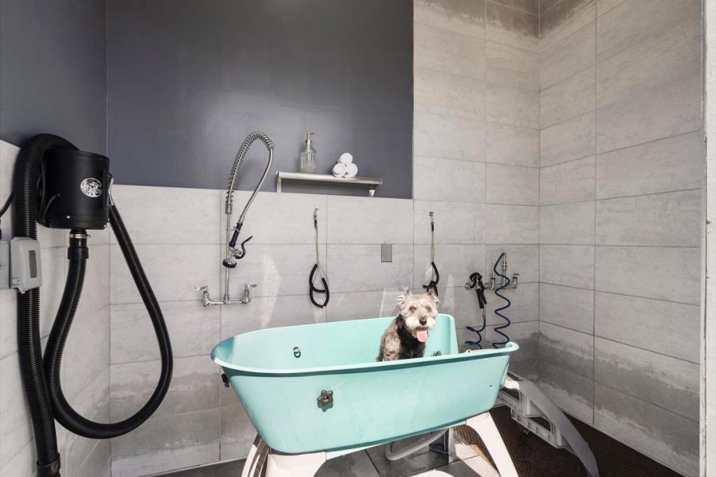 MLS #ML82004906 image #10