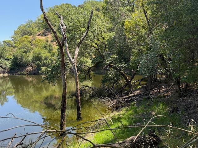 14056 Uvas Road, Morgan Hill CA: https://media.crmls.org/mediaz/3beeda9f-778a-4bac-97cd-3dd1e23b89b5.jpg