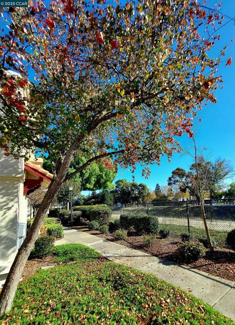 3080 Casadero Ct, Pleasanton CA: https://media.crmls.org/mediaz/3bf01864-6b54-46c6-865e-59cbd50967ad.jpg