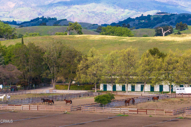 Detail Gallery Image 6 of 75 For 3325 Figueroa Mountain Rd, Los Olivos,  CA 93441 - 3 Beds | 3/2 Baths