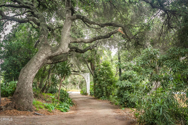 1400 Park Drive, Ojai CA: https://media.crmls.org/mediaz/3c0381c6-a405-4945-b880-c155d018f532.jpg