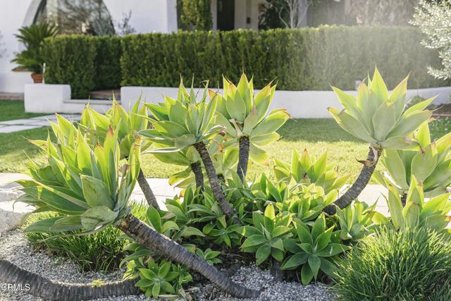1241 Solita Road, Pasadena CA: https://media.crmls.org/mediaz/3c03da05-4e6c-494f-8ddc-d70d120bdc37.jpg