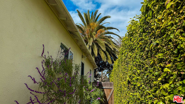 2403 Ocean Avenue, Venice CA: https://media.crmls.org/mediaz/3c0a7bbe-b9c4-40ac-9cdc-3efb1c3b15b0.jpg