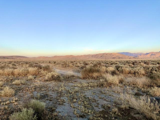 65225 Canterbury Street, Joshua Tree CA: https://media.crmls.org/mediaz/3c0d5701-15e0-41a5-a8c3-f13c28bc5c6a.jpg