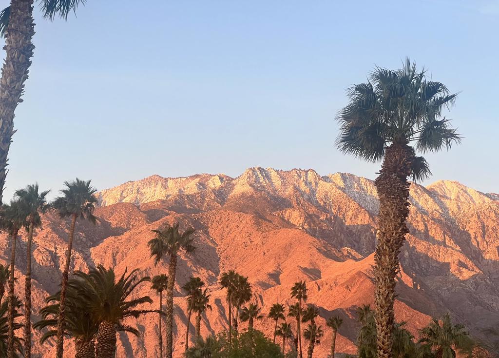 https://media.crmls.org/mediaz/3c12f2a6-b175-4430-b2d4-b48a351ec6a8.jpg?preset=X-Large