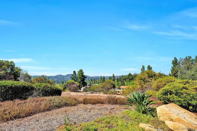 17505 Corte Lomas Verde, Poway CA: https://media.crmls.org/mediaz/3c20a75a-8a7a-4392-9389-aa0883ec92c2.jpg