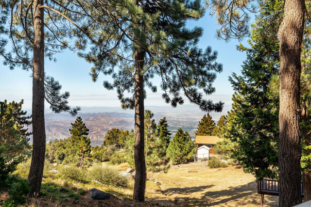 View Off Back Deck