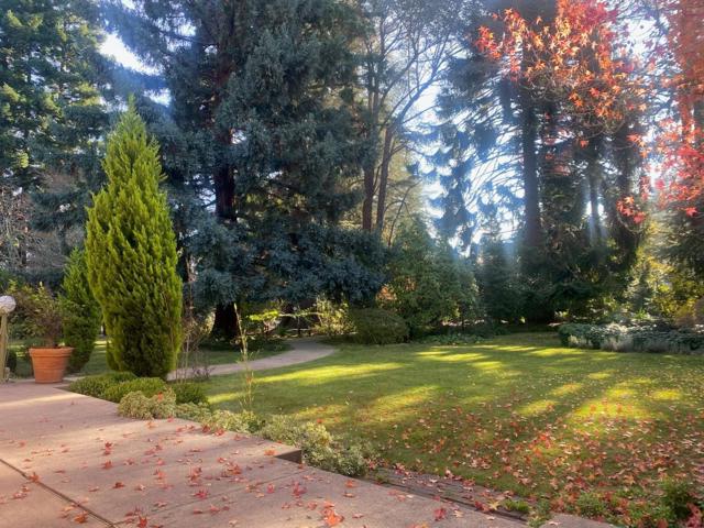 269 Selby Lane, Atherton CA: https://media.crmls.org/mediaz/3c2d30ca-1dd1-49f0-840d-dcf3dc53b34c.jpg