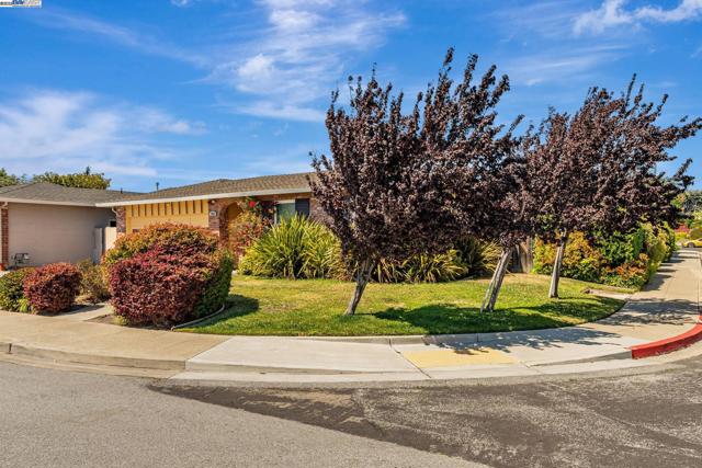 947 Crane Ave, Foster City CA: https://media.crmls.org/mediaz/3c2f9bfc-1603-4368-917f-a8989c13c429.jpg