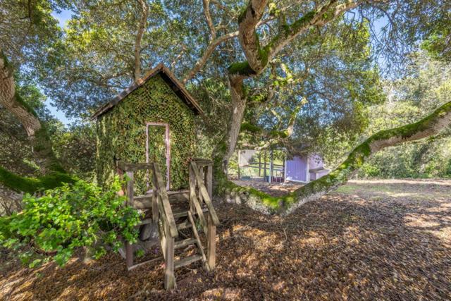 378 Crazy Horse Canyon Road, Salinas CA: https://media.crmls.org/mediaz/3c338171-1b27-4e61-aee5-00302dd0ea9d.jpg