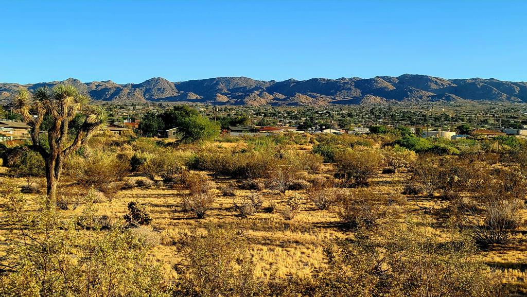 MLS #219138550PS image #1